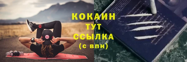 кокс Белокуриха