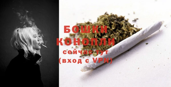 кокс Белокуриха