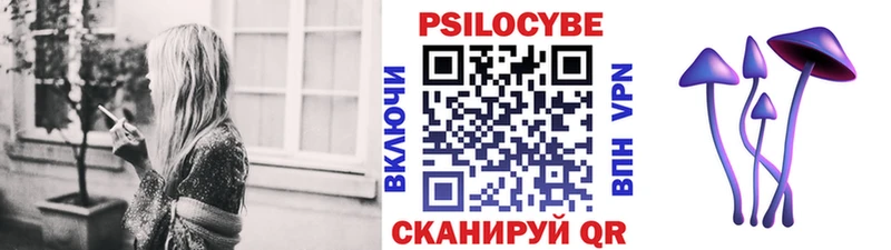 Галлюциногенные грибы ЛСД  купить закладку  Гусев 