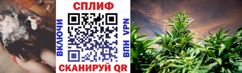 Конопля Ganja  Гусев 